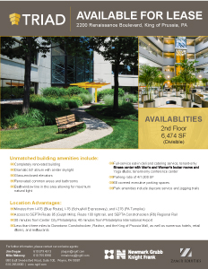 Triad Building Flyer 07242017